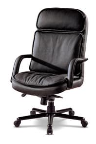 ZENON Executive Chair _High Back_